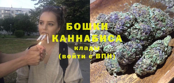 твердый Алзамай