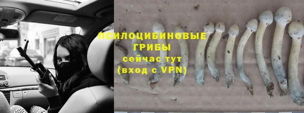 mdpv Алексин