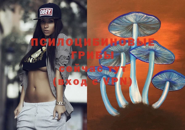 твердый Алзамай