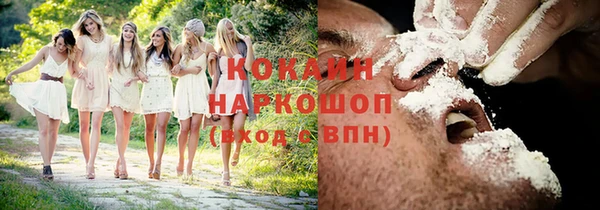 твердый Алзамай