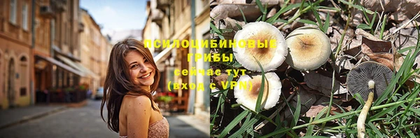 амф Алексеевка