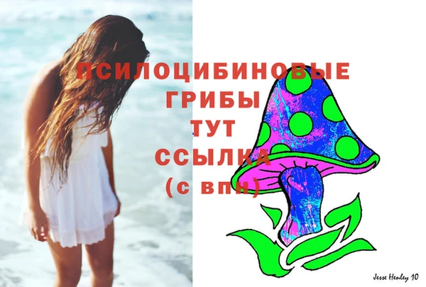 амф Алексеевка