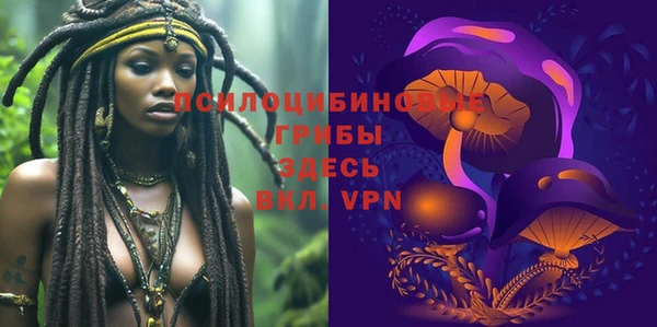 твердый Алзамай